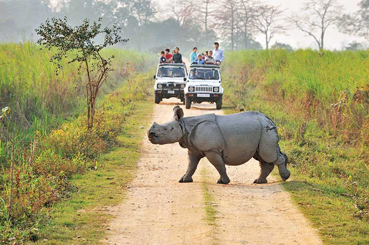 Parco Nazionale Kaziranga