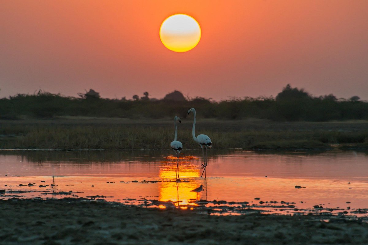 Piccolo Rann di Kutch