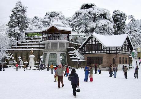 Shimla